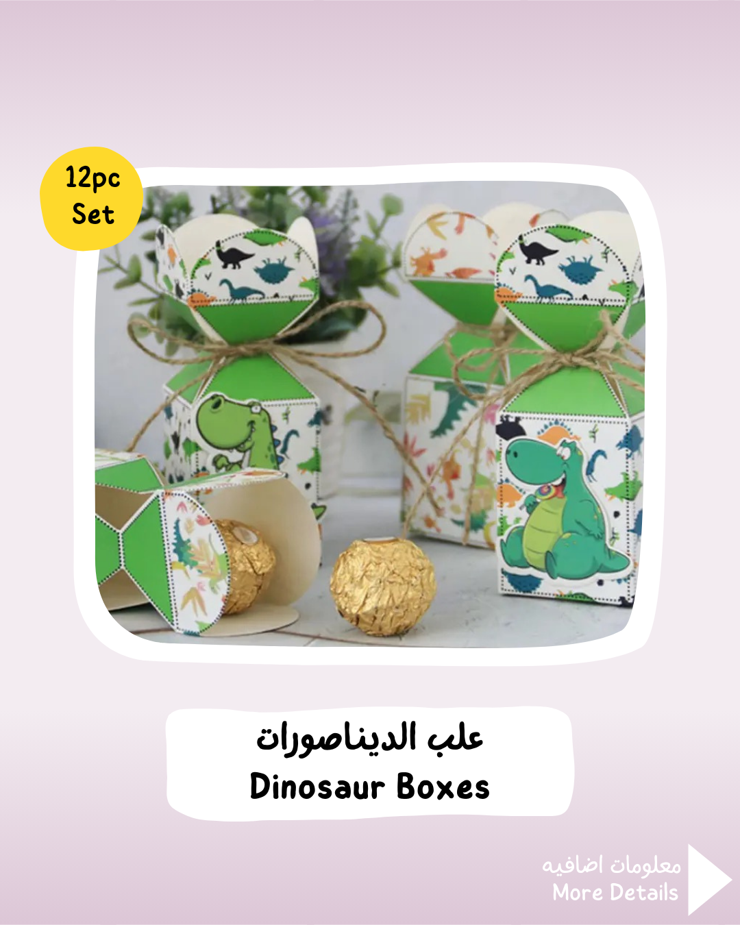 Dinosaur Boxes