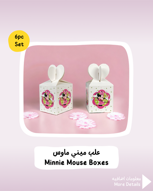 Minnie Mouse Boxes