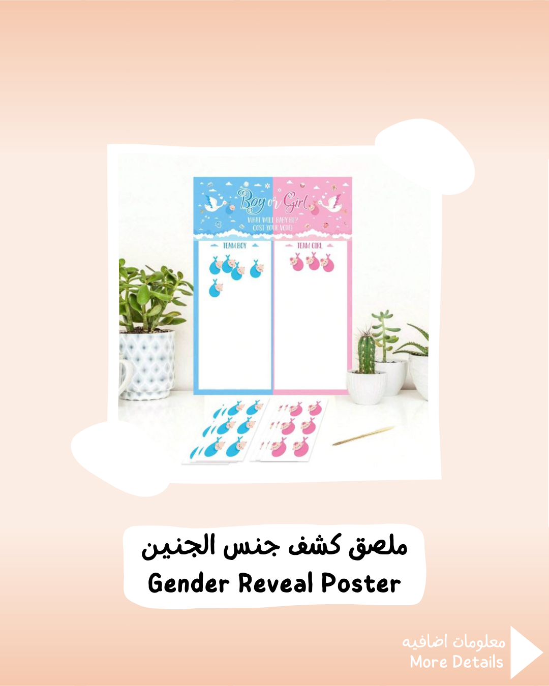 Gender Reveal Poster