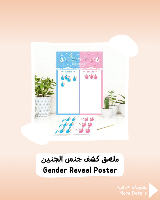 Gender Reveal Poster