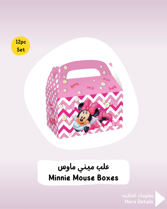 Minnie Mouse Boxes